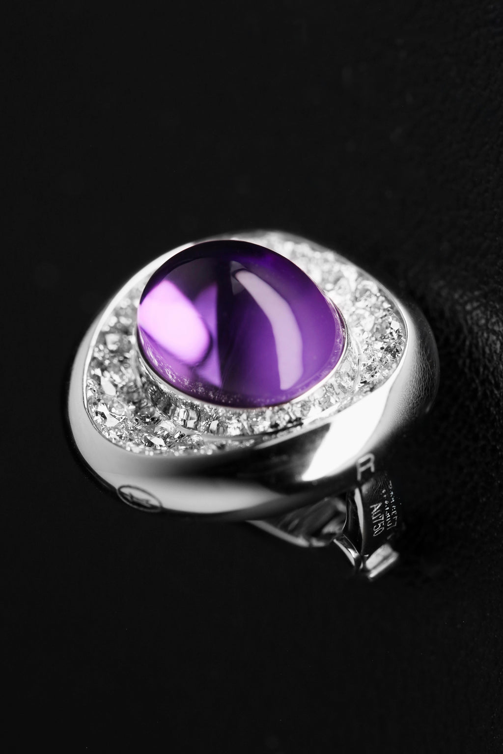 马蹄莲 (Calla Lily)