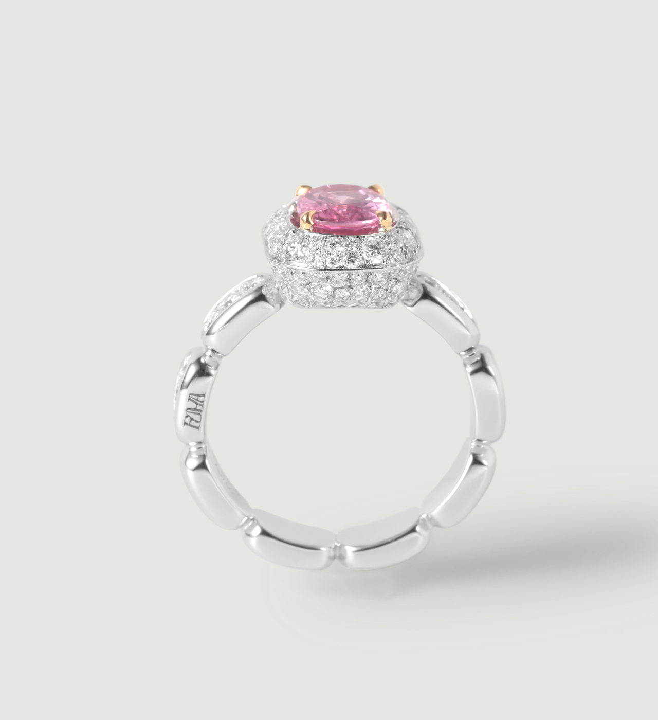 Marshmallow Deluxe -Sakura