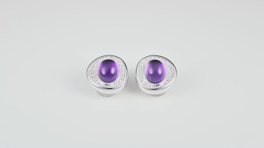 马蹄莲 (Calla Lily)