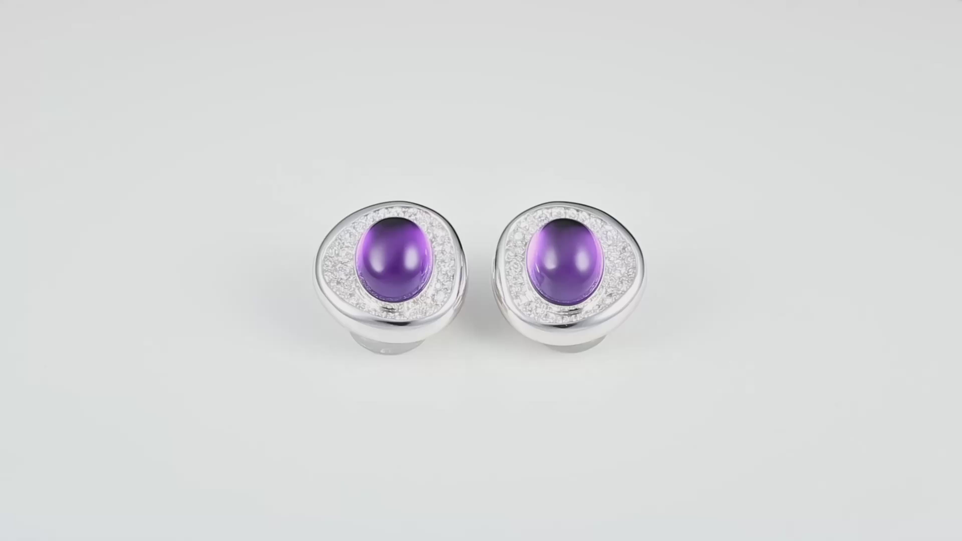 马蹄莲 (Calla Lily)